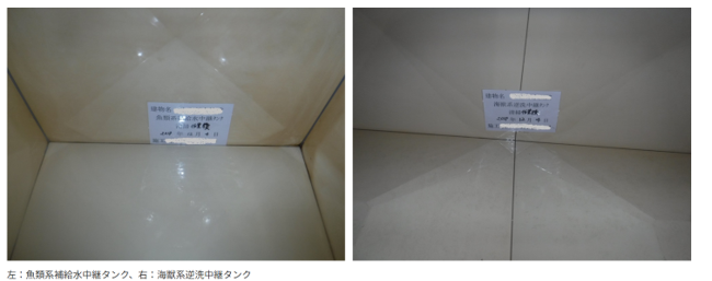 水族館の各種タンク清掃