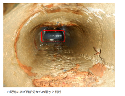 現地調査と応急対応