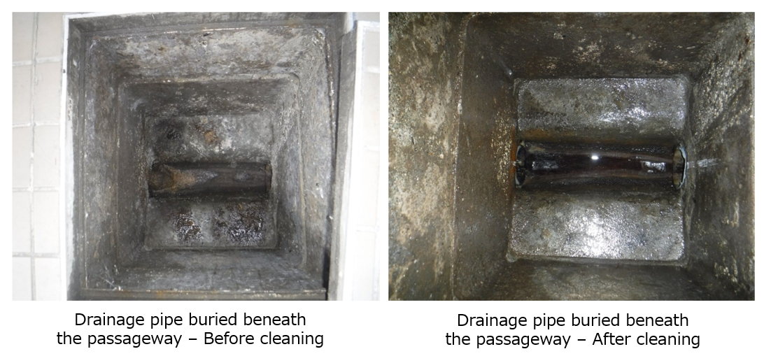 Same-Day Resolution of Apartment Drainpipe Clogs! Kitchen and Toilet Troubleshooting