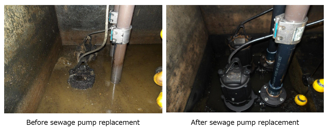 On-Site Investigation and Emergency Response