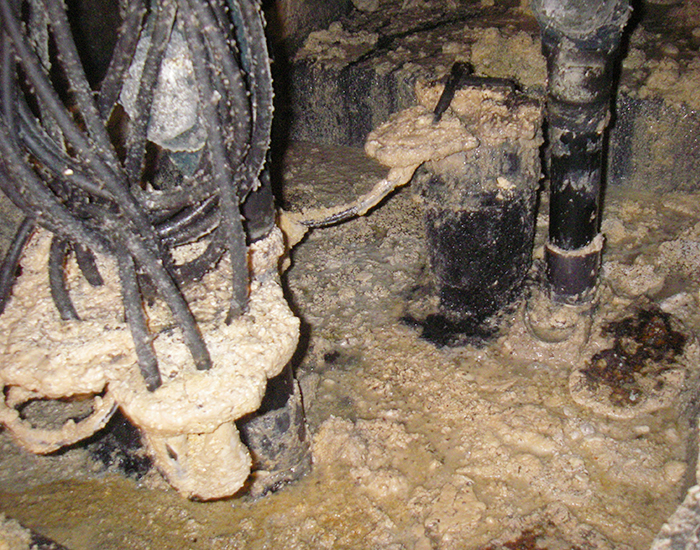 Signs of Deterioration and Abnormalities That Should Not Be Overlooked