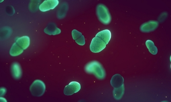 Biofilm adhesion