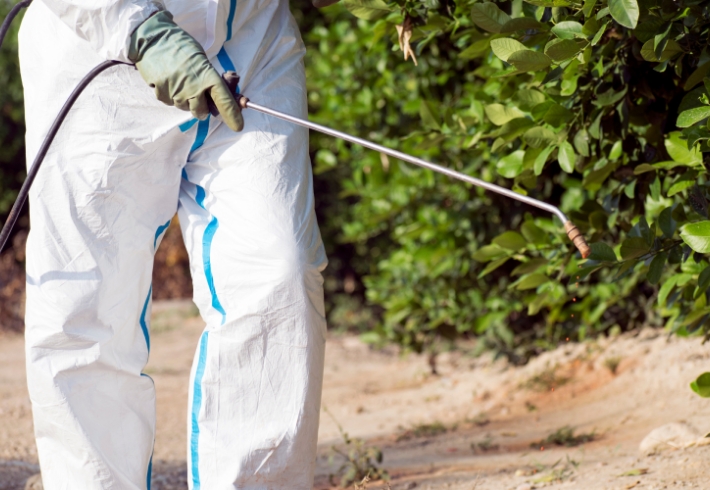 Pest Control