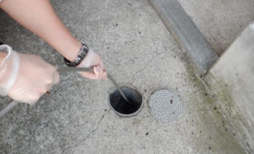 Graywater Drainage Pipe Cleaning - Customer Testimonial